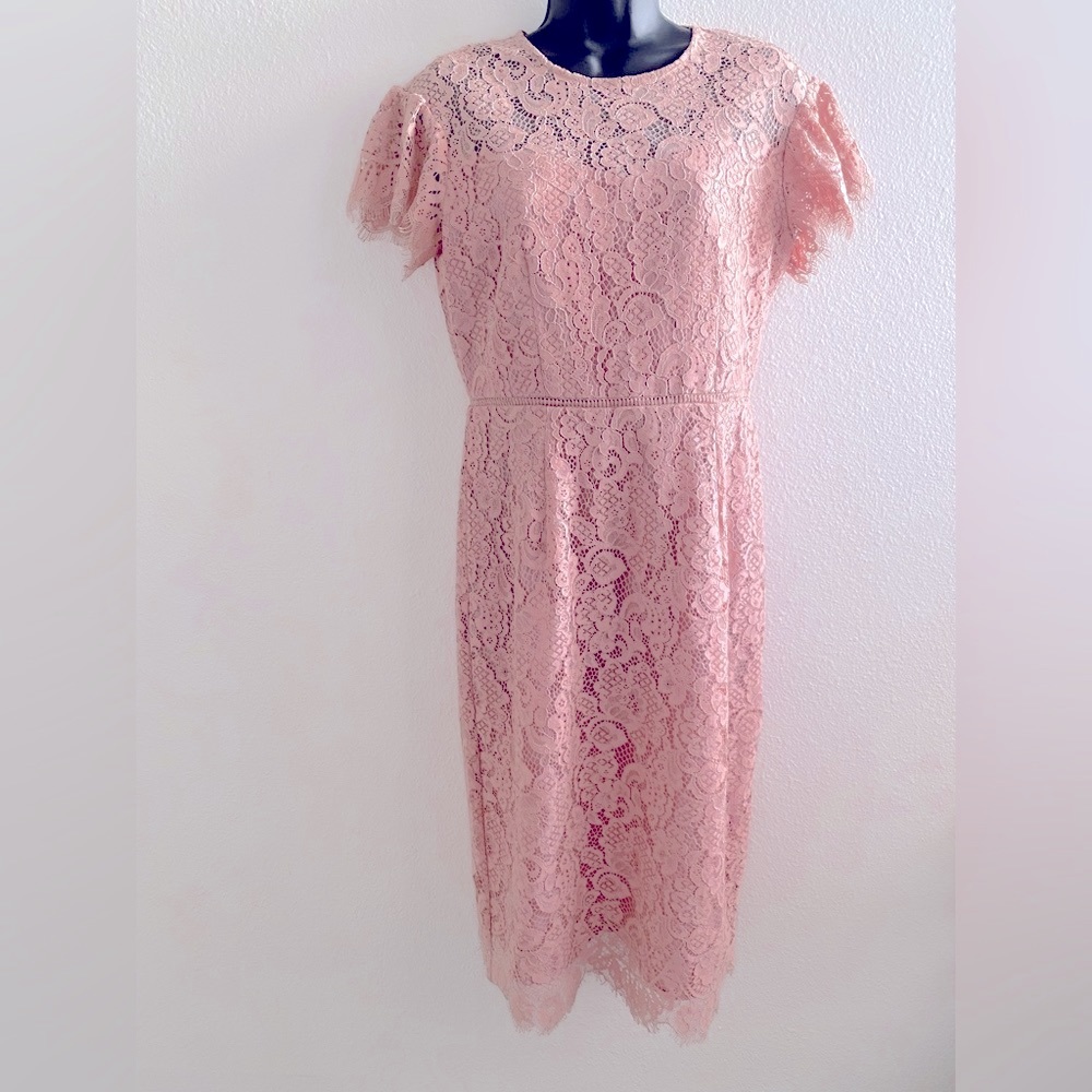Gorgeous London Times Blush Dress Size 4 💕